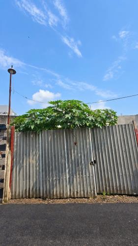 💋Ngay Vinhomes - Đất 156m2 -💰Chỉ 5tỷ hơn 👉Đường ô tô - TẶNG GPXD ~500M² SÀN 👉Phường L