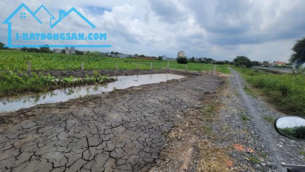 Lô đất đẹp HXH Nguyễn Thị Ngâu ,TTT, DT 1100 m2. Giá chỉ 2.3 tỷ (TL)