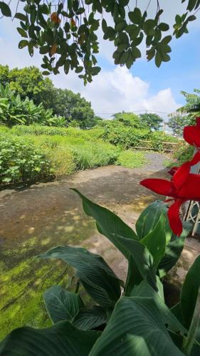 Lô đất HXH Song Hành ,Hóc Môn DT 120m2. Giá chỉ 2.7 tỷ (TL)