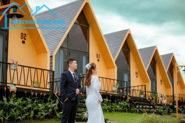 🌿 ĐẤT VIEW ĐỒI CHÈ TÂM CHÂU – 850TRIỆU 🌿