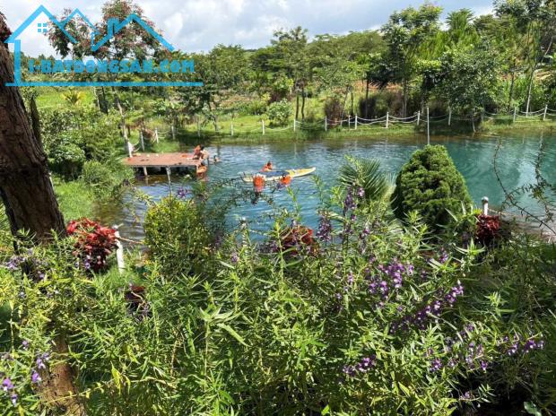 🌿 LÀNG OMM BẢO LỘC – ĐẤT NGHỈ DƯỠNG GIÁ TỪ 800 TRIỆU/NỀN