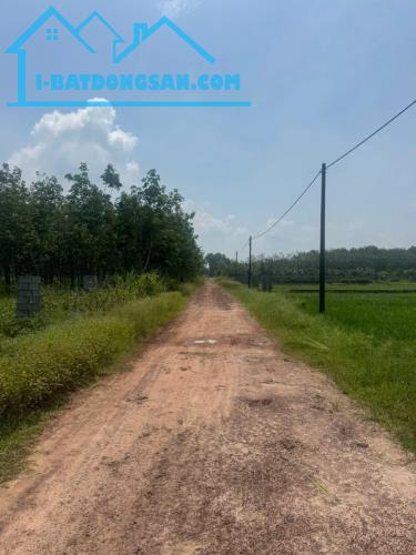 Bán đất Hà Thị Kiểm, Phú Mỹ Hưng, Củ Chi: 10 x 74, giá 1,6 tỷ.