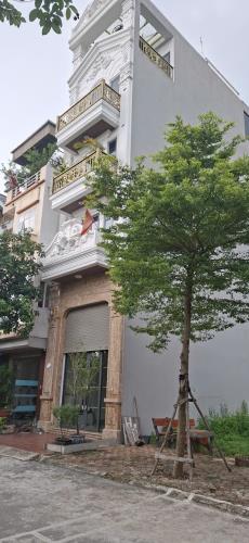 Bán gấp lô đất 55m² đối diện vườn hoa khu 31ha Trâu Quỳ, Gia Lâm chỉ 185tr/m2