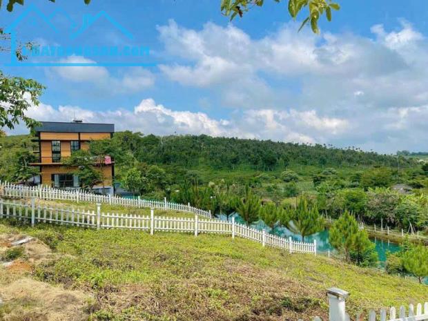 Cần tiền bán nhanh 350m2 đất Bảo Lộc sổ sẵn chỉ 900tr sở hữu ngay
