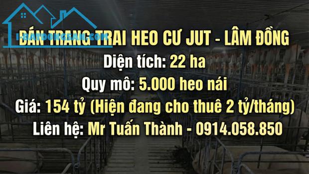 Thu 2 Tỷ/Tháng Từ Trại Heo 22ha