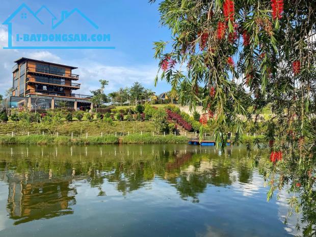 🌿 ĐẤT NGHỈ DƯỠNG BẢO LỘC – ĐỒI CHÈ LÀNG OMM🌿 🏡
