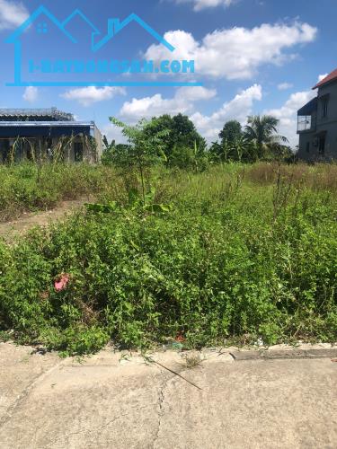 Bán đất trung tâm thôn Ngọc Chử, xã Trường Thọ An Lão Hải Phòng