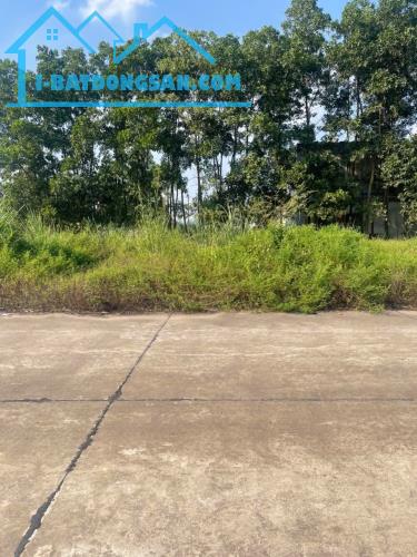 BÁN LÔ ĐẤT DT 215M, (MT10), 8 TỶ THÁI NGUYÊN.