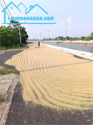 Chính Chủ Bán ĐẤT ĐẤU GIÁ Trịnh Xá, TP Phủ Lý, Hà Nam - Mặt Tiền Đường GIÁ TỐT!