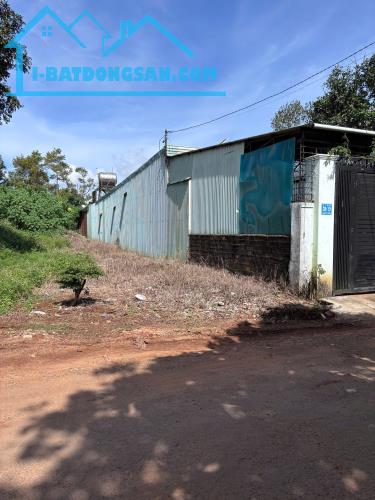 ĐẤT hẻm 39 đường Nguyễn Biểu Phường Hội Phú Gia Lai