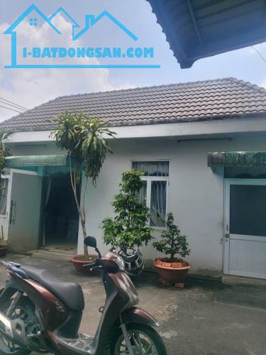 Bán 979m2 nhà xưởng tại Tương Bình Hiệp, Thủ Dầu Một, Bình Dương