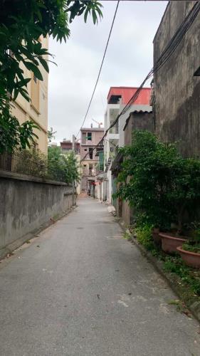 Bán nhà cấp 4 , diện tích 112.6 m2 tại Phù Đổng 10.9 tỷ