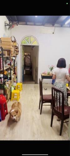 Bán nhà riêng, 264 m², Gò Vấp