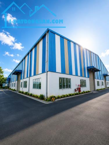 X142 nhà Xưởng sản xuất, KCN hiện đại tiếp nhận nhiều ngành nghề, DN FDI, EPE