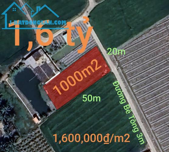 Bán đất lúa chuyển thổ xã Vàm Cỏ gần Quốc Lộ 50B giá 1,6 tỷ