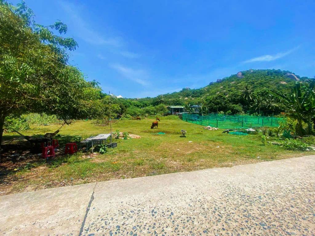 Bán đất đường biển Bình Lập, 2 mặt, ngang 20m và 30m, cách biển 300m