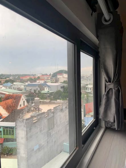 Trương Định