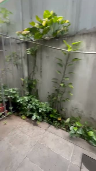 Khu dân cư Cát Lái