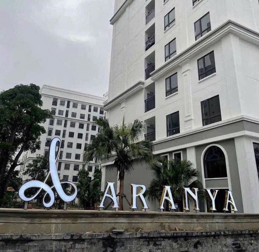 Chung cư Aranya CT1