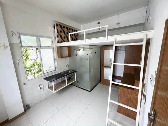 Nhất Trí Mai